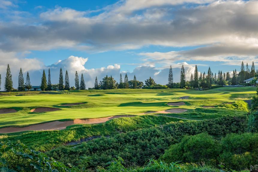 Kapalua: Plantation